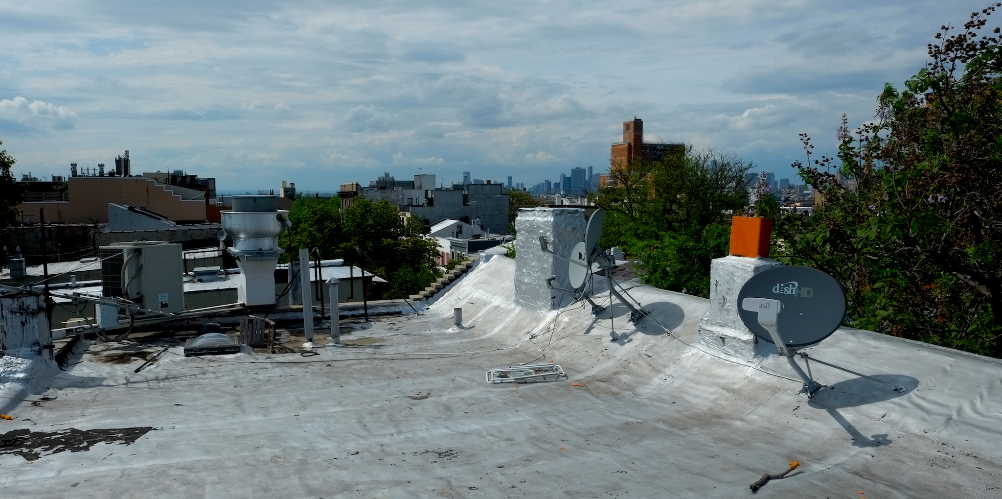 Dach in Brooklyn